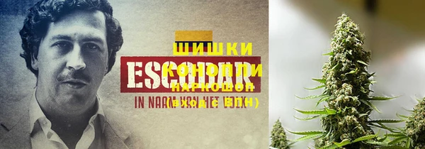бошки Каменногорск
