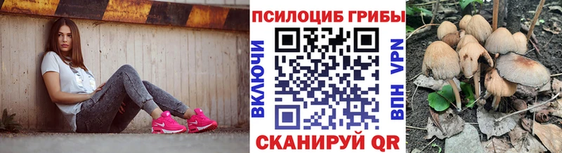 Псилоцибиновые грибы прущие грибы  Костерёво 